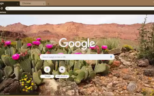 Desert Cactus Bloom  from Chrome web store to be run with OffiDocs Chromium online
