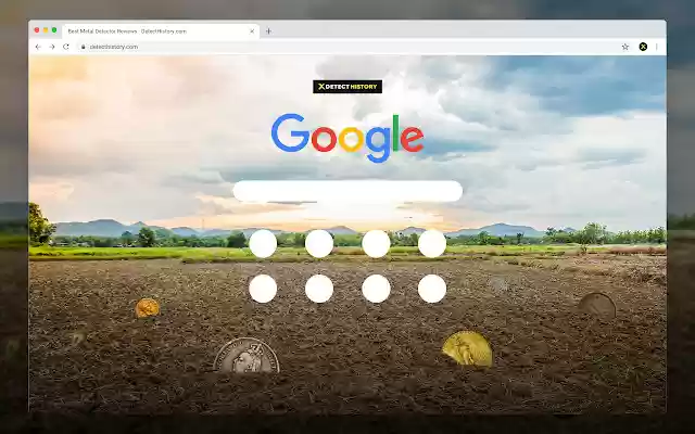 Detect History Metal Detecting Field  from Chrome web store to be run with OffiDocs Chromium online