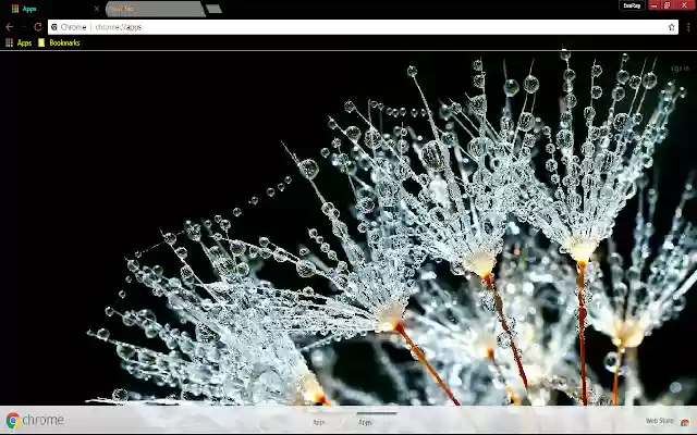 Dew Earth Flower Photography  from Chrome web store to be run with OffiDocs Chromium online