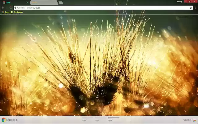 Dew Nature Water Drop Wheat  from Chrome web store to be run with OffiDocs Chromium online