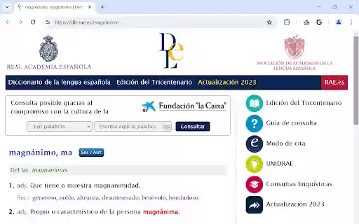 Diccionario RAE  from Chrome web store to be run with OffiDocs Chromium online