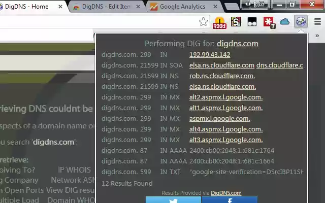 DigDNS  from Chrome web store to be run with OffiDocs Chromium online