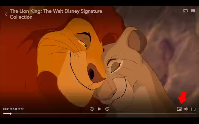 Disney+ PIP  from Chrome web store to be run with OffiDocs Chromium online