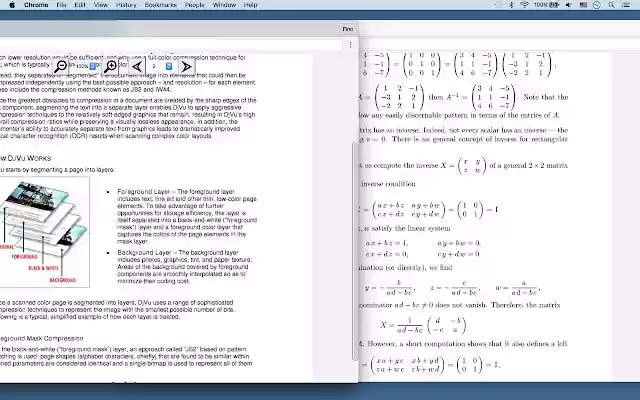 DjVu Viewer and Reader  from Chrome web store to be run with OffiDocs Chromium online