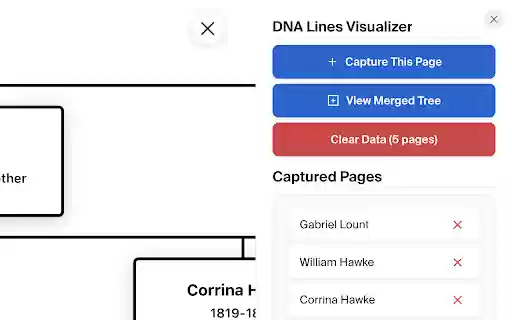 DNA Lines Visualizer  from Chrome web store to be run with OffiDocs Chromium online