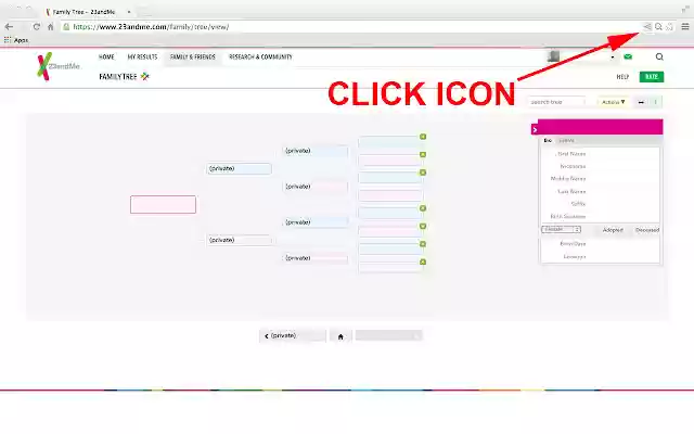 DNArboretum  from Chrome web store to be run with OffiDocs Chromium online