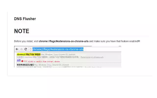 DNS Flusher from Chrome web store to be run with OffiDocs Chromium online DNS Flusher from Chrome web store to be run with OffiDocs Chromium online