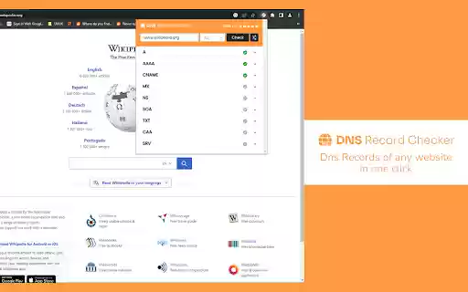 DNS Record Checker from Chrome web store to be run with OffiDocs Chromium online DNS Record Checker from Chrome web store to be run with OffiDocs Chromium online