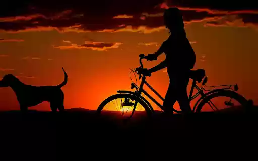 Dog and girl riding a bicycle  from Chrome web store to be run with OffiDocs Chromium online