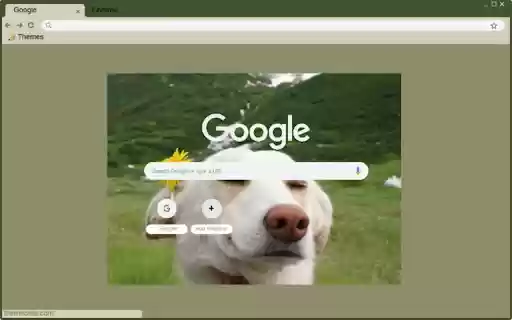 dog enjoying  from Chrome web store to be run with OffiDocs Chromium online
