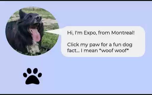 Dog Facts from Expo  from Chrome web store to be run with OffiDocs Chromium online