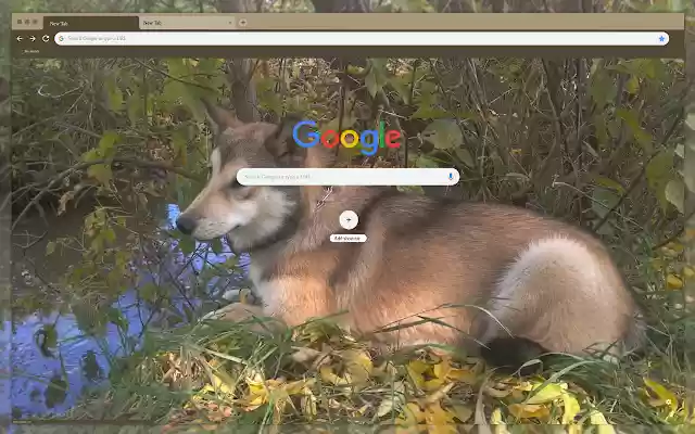 Dog in the grass  from Chrome web store to be run with OffiDocs Chromium online
