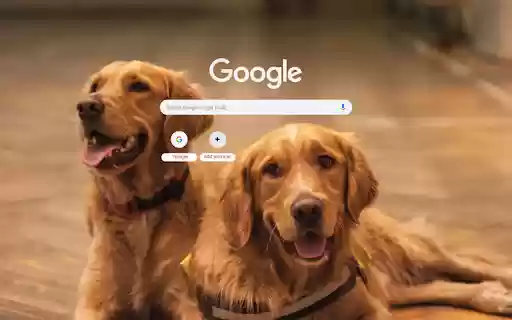 Dogs Rests Pet CBD Club  from Chrome web store to be run with OffiDocs Chromium online