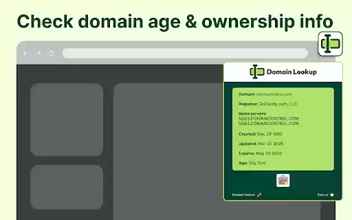 Domain Age Lookup  from Chrome web store to be run with OffiDocs Chromium online