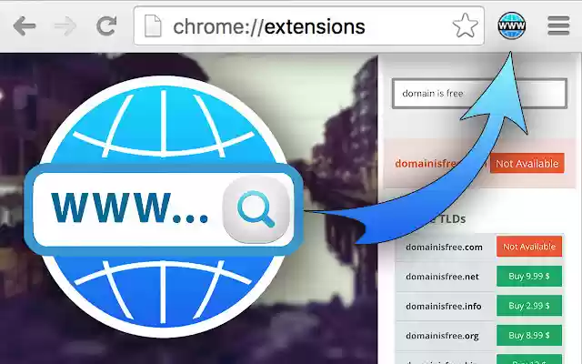 Domain Check Plugin  from Chrome web store to be run with OffiDocs Chromium online