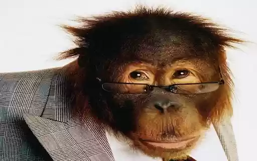 Dompston Plugs In  from Chrome web store to be run with OffiDocs Chromium online