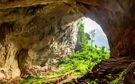 Dong Phu Ngoc  from Chrome web store to be run with OffiDocs Chromium online