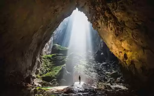 Dong Thanh Phong  from Chrome web store to be run with OffiDocs Chromium online