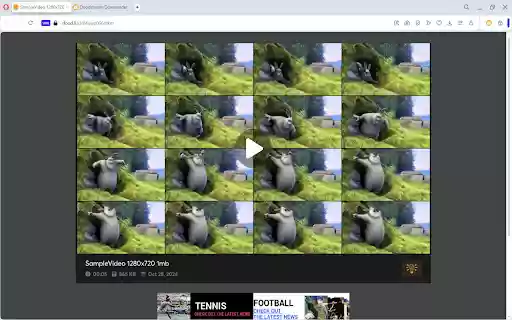 Doodstream Downloader  from Chrome web store to be run with OffiDocs Chromium online