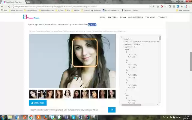 Doppelganger by VisageCloud  from Chrome web store to be run with OffiDocs Chromium online