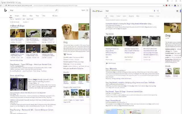 Double Shot Search: Query side by side from Chrome web store to be run with OffiDocs Chromium online Double Shot Search: Query side by side from Chrome web store to be run with OffiDocs Chromium online