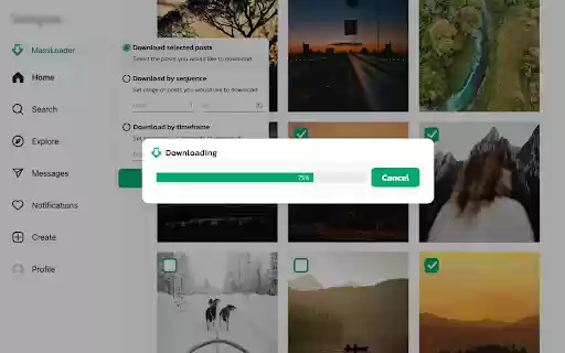 Downloader for Instagram MassLoader  from Chrome web store to be run with OffiDocs Chromium online