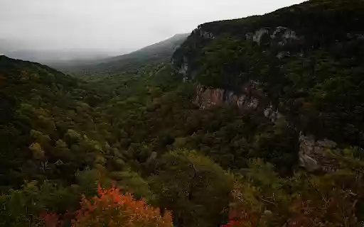Dramatic Forest Canyon in Misty Autumn from Chrome web store to be run with OffiDocs Chromium online Dramatic Forest Canyon in Misty Autumn from Chrome web store to be run with OffiDocs Chromium online