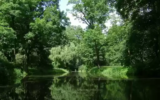 Dream green park  from Chrome web store to be run with OffiDocs Chromium online
