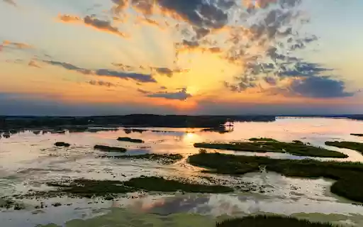 Drone Shot of a Wetland  from Chrome web store to be run with OffiDocs Chromium online