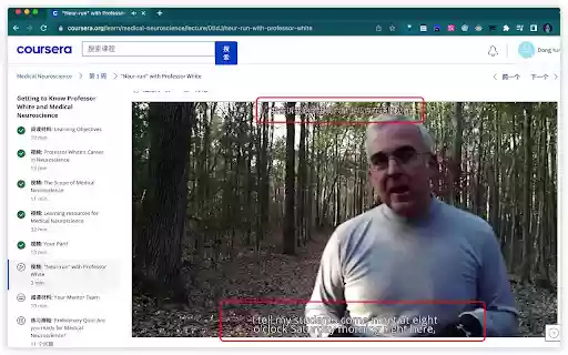 Duplex Subtitles  from Chrome web store to be run with OffiDocs Chromium online
