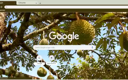 Durian Tree  from Chrome web store to be run with OffiDocs Chromium online