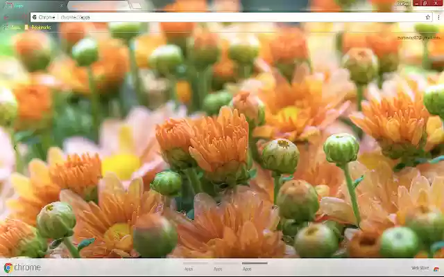 Earth Flower  from Chrome web store to be run with OffiDocs Chromium online