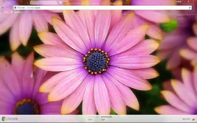Earth Flower 1366*768  from Chrome web store to be run with OffiDocs Chromium online