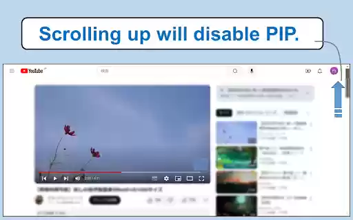 Easy PIP Switcher from Chrome web store to be run with OffiDocs Chromium online Easy PIP Switcher from Chrome web store to be run with OffiDocs Chromium online