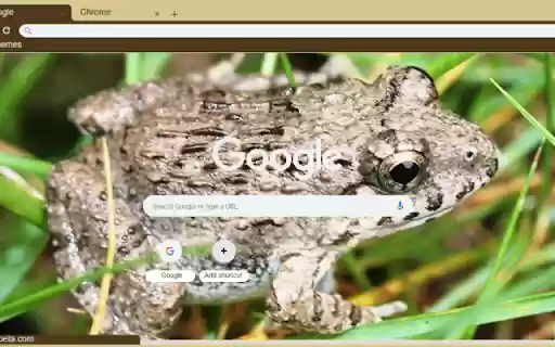 Ech  from Chrome web store to be run with OffiDocs Chromium online