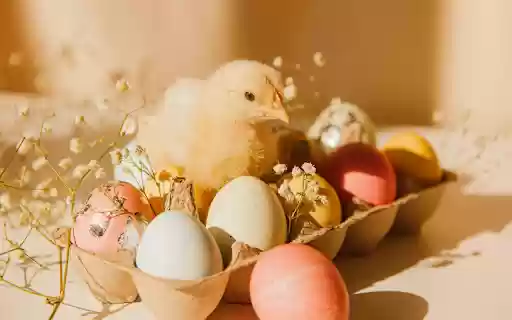 Eggs and Chicks  from Chrome web store to be run with OffiDocs Chromium online