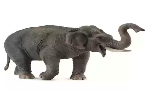 elephant wallpaper from Chrome web store to be run with OffiDocs Chromium online elephant wallpaper from Chrome web store to be run with OffiDocs Chromium online