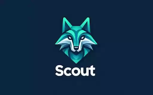 Email FinderScout  from Chrome web store to be run with OffiDocs Chromium online