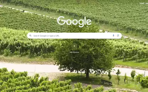Emerald Vineyard Serenity  from Chrome web store to be run with OffiDocs Chromium online