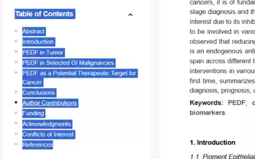 Enable User Select  from Chrome web store to be run with OffiDocs Chromium online