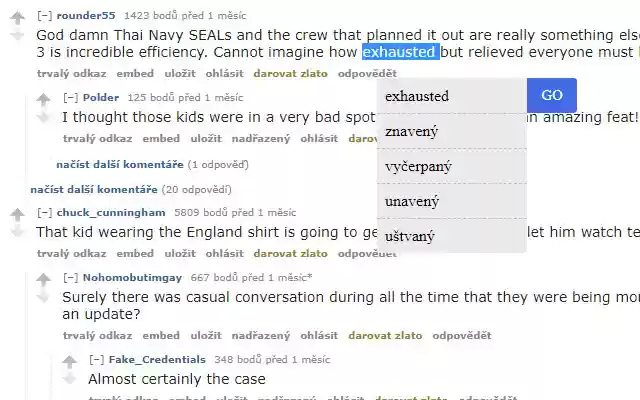 English Czech Dictionary  from Chrome web store to be run with OffiDocs Chromium online