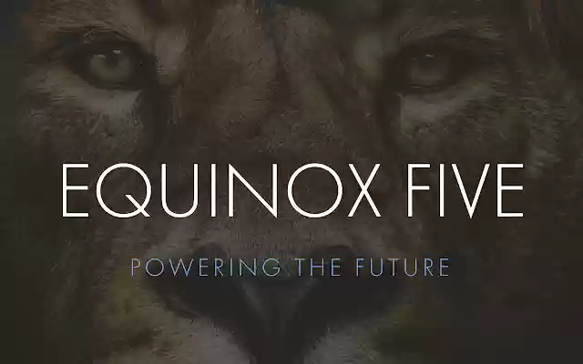 Equinox Meet  from Chrome web store to be run with OffiDocs Chromium online