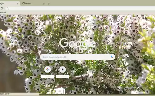 Erica from Chrome web store to be run with OffiDocs Chromium online Erica from Chrome web store to be run with OffiDocs Chromium online