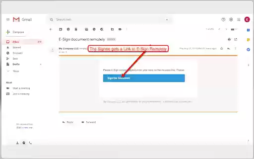 eSign Pro eSignature for Chrome  from Chrome web store to be run with OffiDocs Chromium online