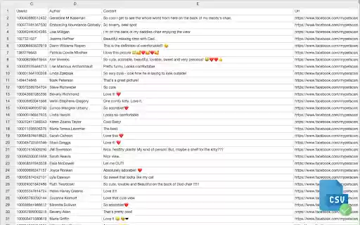 ESUIT | Comments Exporter for Facebook™  from Chrome web store to be run with OffiDocs Chromium online
