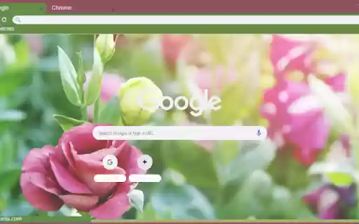 Eustoma  from Chrome web store to be run with OffiDocs Chromium online