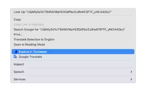 Explore in Tonviewer  from Chrome web store to be run with OffiDocs Chromium online