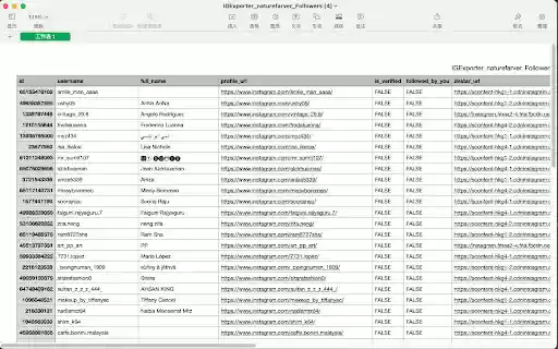 Export IG Followers Following from Chrome web store to be run with OffiDocs Chromium online Export IG Followers Following from Chrome web store to be run with OffiDocs Chromium online
