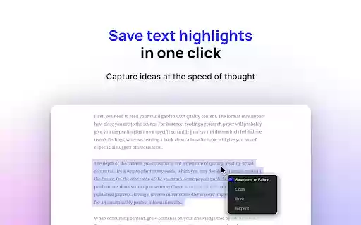 Fabric web clipper – save anything from the web  from Chrome web store to be run with OffiDocs Chromium online