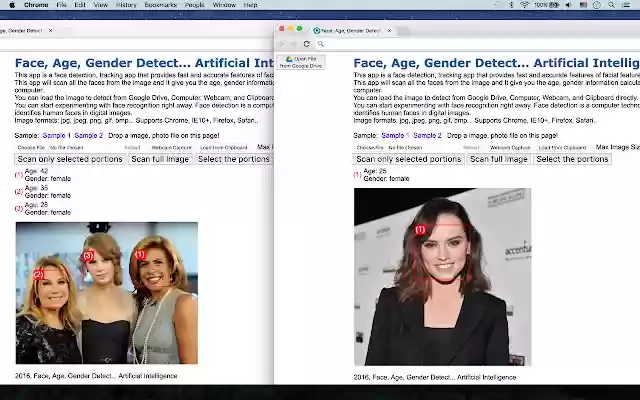 Face, Age, Gender Detect  from Chrome web store to be run with OffiDocs Chromium online